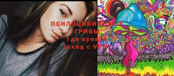мет Горнозаводск