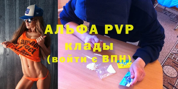 эйфоретик Дмитриев
