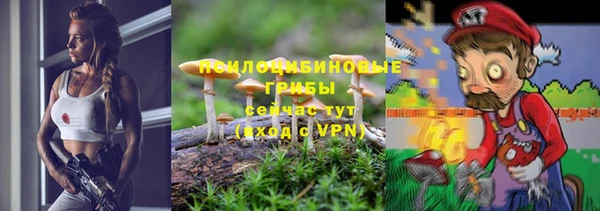 бутират Гусев